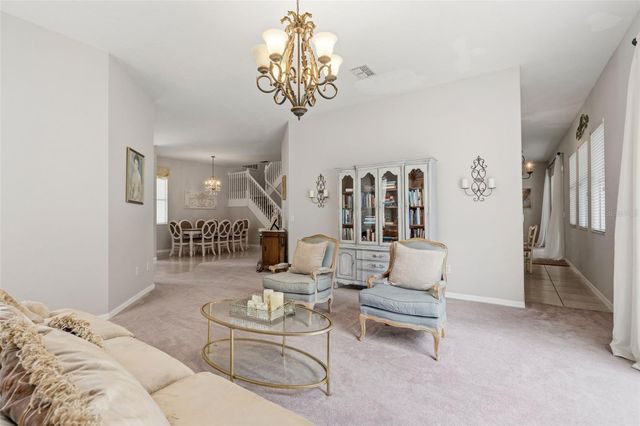 20008 BLUFF OAK BOULEVARD, Tampa, FL 33647