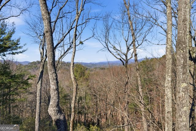 1343 McElroy Mountain Drive, Jasper, GA 30143