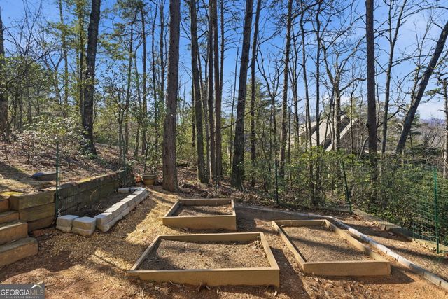 1343 McElroy Mountain Drive, Jasper, GA 30143