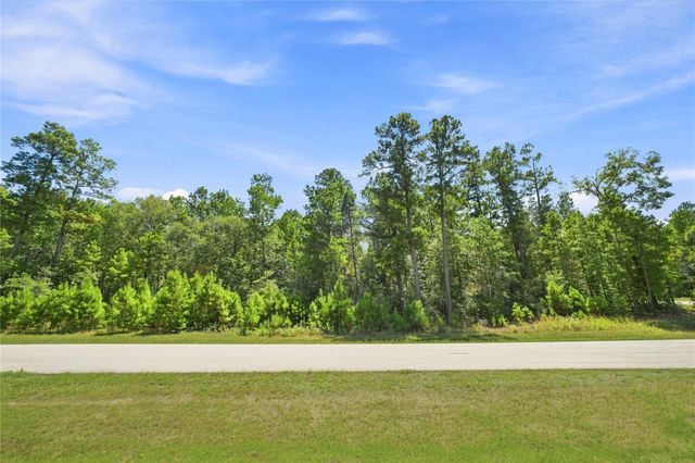8-6-293 Stillwater Road, Huntsville, TX 77340