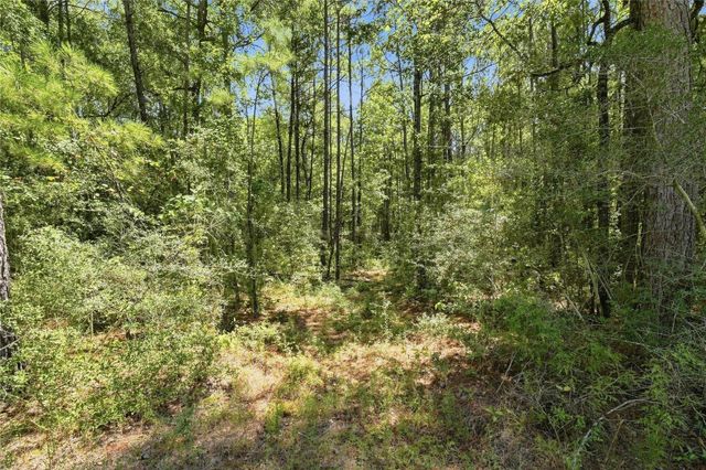 8-6-293 Stillwater Road, Huntsville, TX 77340