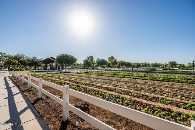 4553 S RASTER --, Mesa, AZ 85212