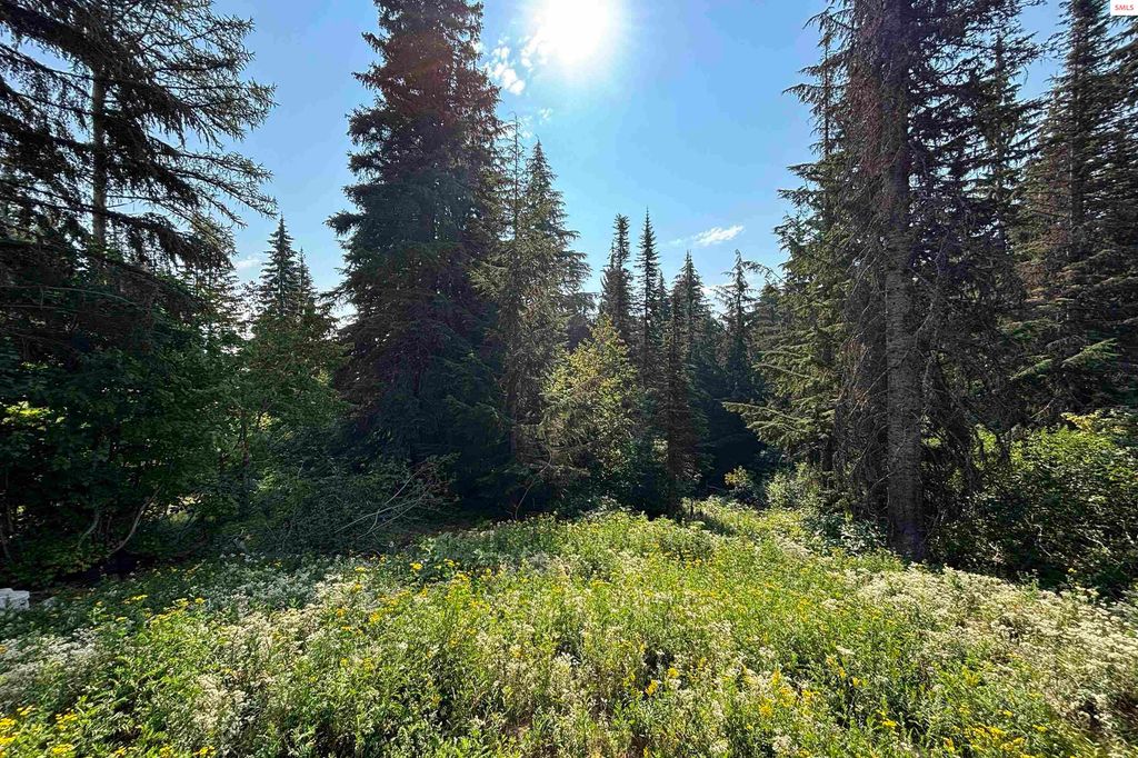 205 Ullr Drive, Sandpoint, ID 83864 photo 12