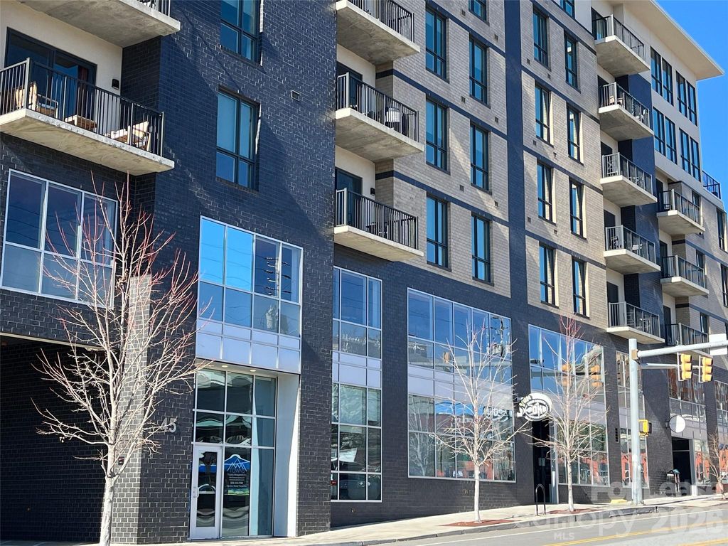 45 Asheland Avenue 101, Asheville, NC 28801