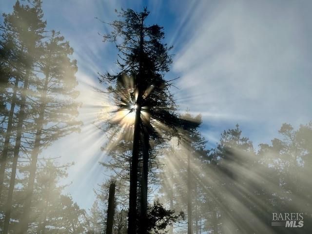 135 Larkspur Close, The Sea Ranch, CA 95497