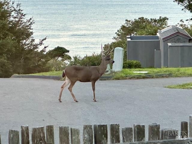 135 Larkspur Close, The Sea Ranch, CA 95497