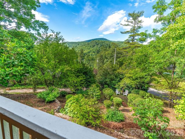 206 Chestnut Hill Road, Gerton, NC 28735