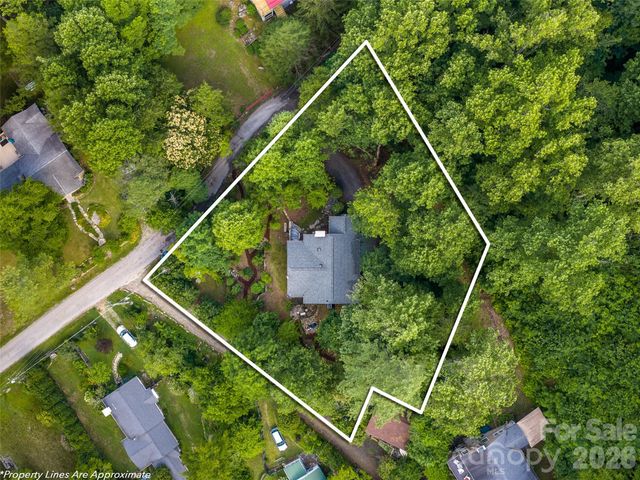 206 Chestnut Hill Road, Gerton, NC 28735