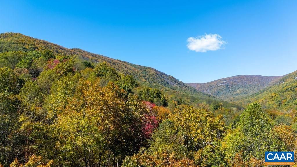 96 LITTLE STONEY LN, Nellysford, VA 22958