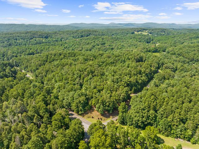 lot 6 Timber Lane Court, Turtletown, TN 37391