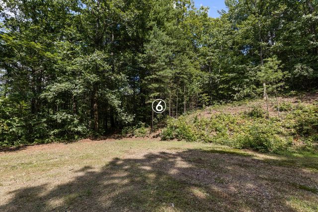 lot 6 Timber Lane Court, Turtletown, TN 37391
