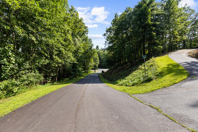 lot 6 Timber Lane Court, Turtletown, TN 37391