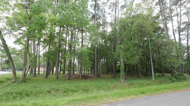 0 Delfan Circle, Houston, TX 77396