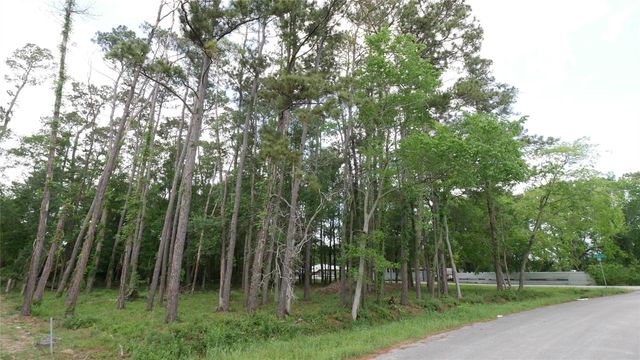 0 Delfan Circle, Houston, TX 77396