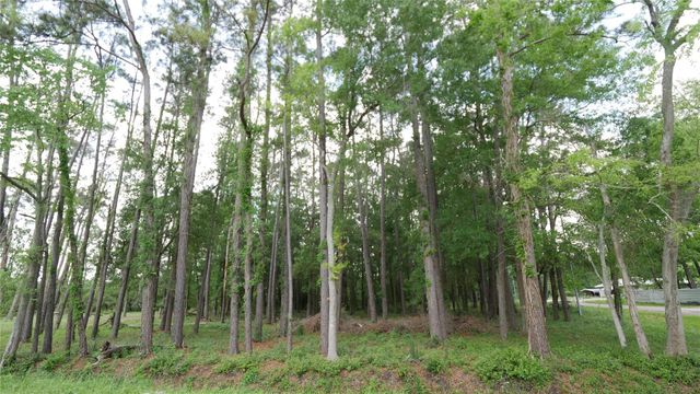 0 Delfan Circle, Houston, TX 77396
