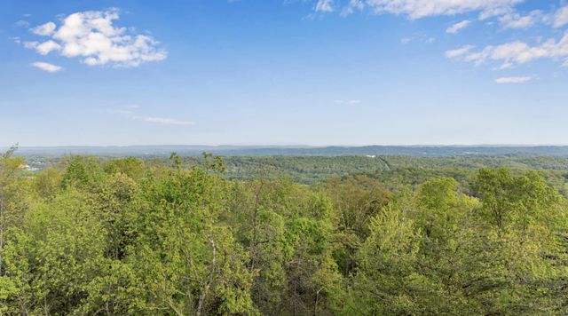 0 Bluff Ledge Trail Lot 80, Hixson, TN 37343