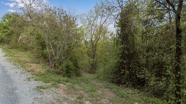 0 Bluff Ledge Trail Lot 80, Hixson, TN 37343
