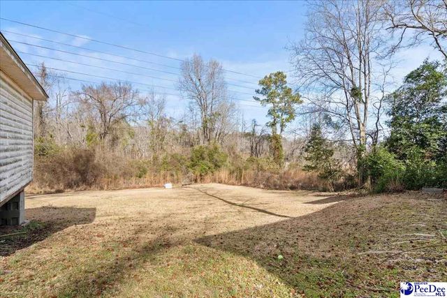 106 Elizabeth Dr, Cheraw, SC 29520