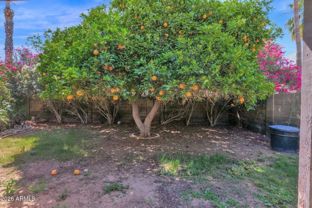 410 S JAY Street, Chandler, AZ 85225