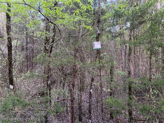 TBD Lot 8 W Hartford Road, Hartford, AR 72938