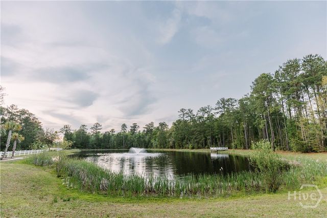 230 James Drive, Richmond Hill, GA 31324