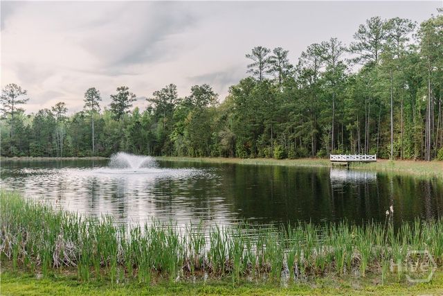 230 James Drive, Richmond Hill, GA 31324