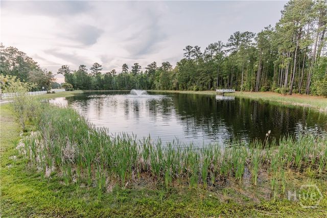 230 James Drive, Richmond Hill, GA 31324