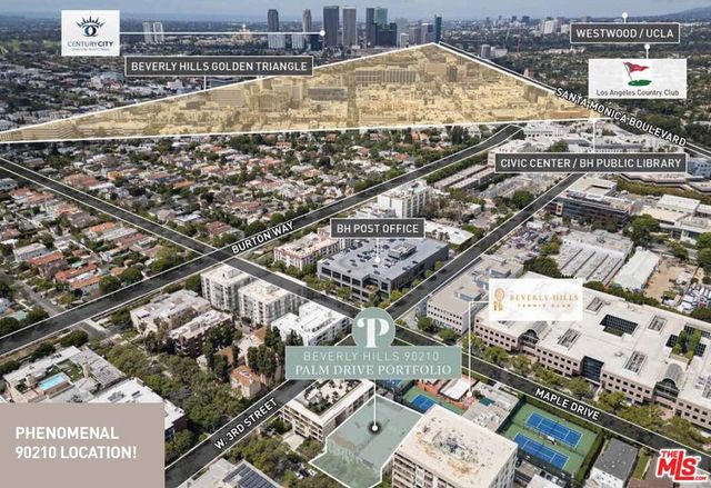335 N Palm Drive, Beverly Hills, CA 90210