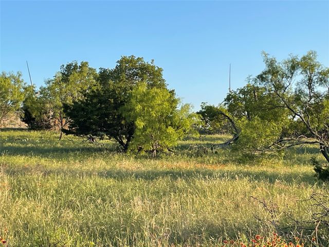 TBD 213, Goldthwaite, TX 76844