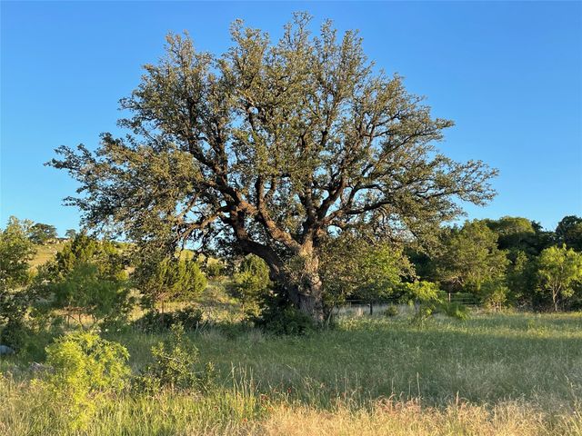 TBD 213, Goldthwaite, TX 76844