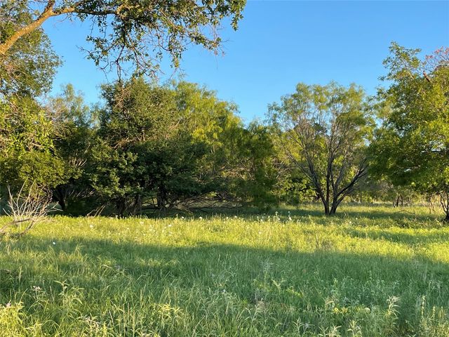 TBD 213, Goldthwaite, TX 76844