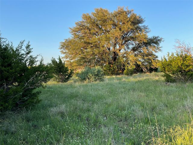 TBD 213, Goldthwaite, TX 76844