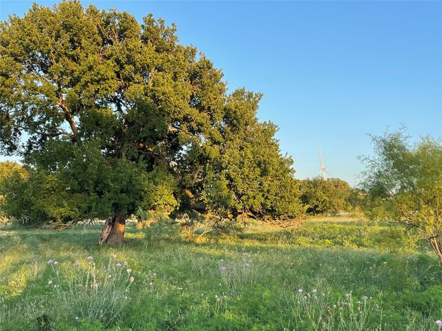 TBD 213, Goldthwaite, TX 76844