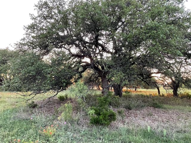 TBD 213, Goldthwaite, TX 76844