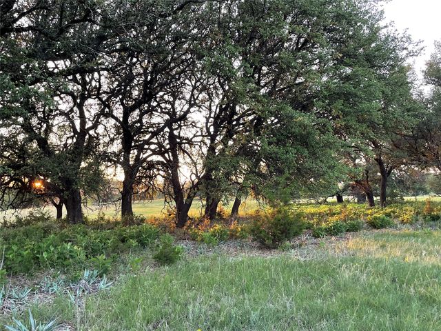 TBD 213, Goldthwaite, TX 76844