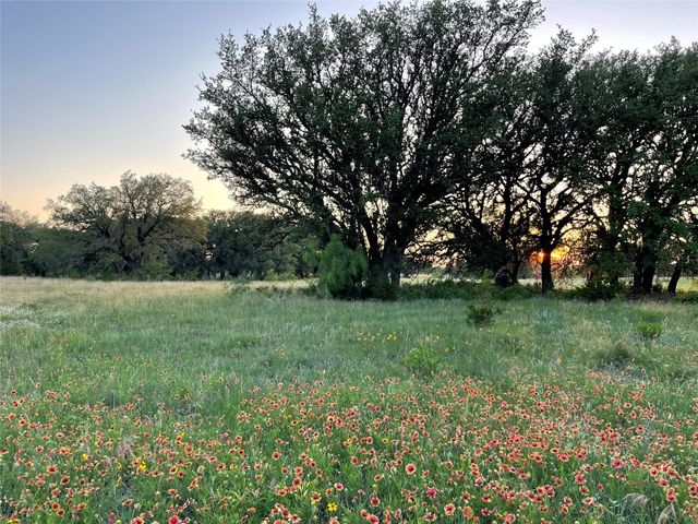 TBD 213, Goldthwaite, TX 76844