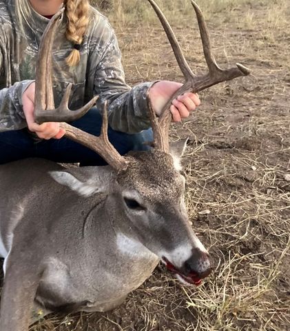 TBD 213, Goldthwaite, TX 76844