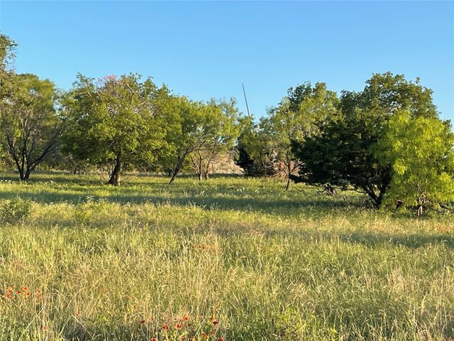 TBD 213, Goldthwaite, TX 76844