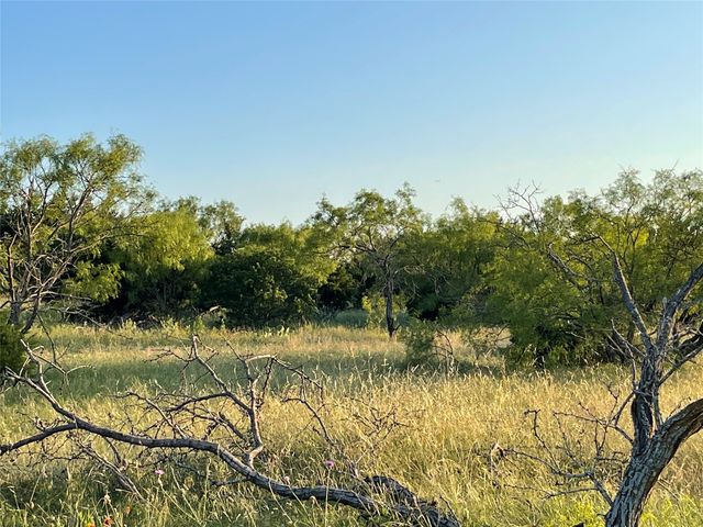 TBD 213, Goldthwaite, TX 76844