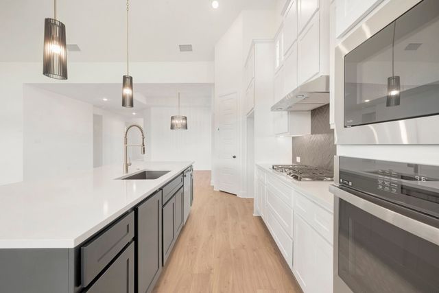 1203 Barbazzano Drive, Fate, TX 75087