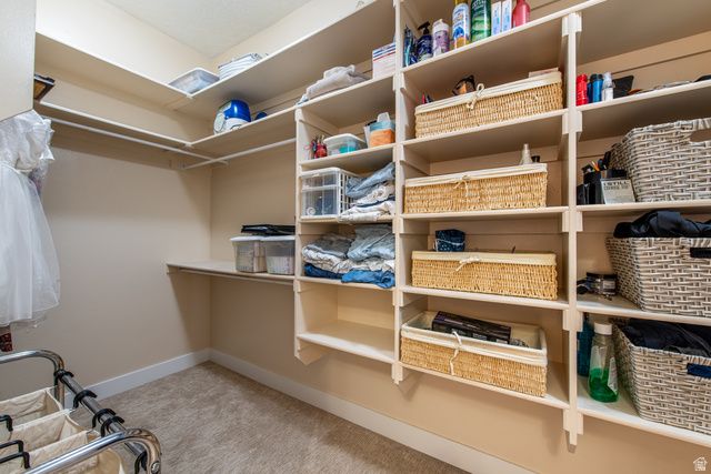 325 W RIVER WILLOW LN LN, Washington, UT 84780