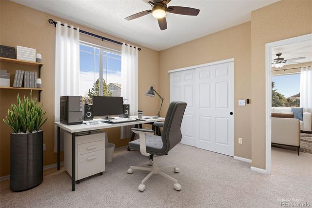 410 Ellendale Street, Castle Rock, CO 80104