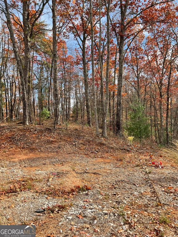 0 Lynn Drive, Clayton, GA 30525 — photo 4