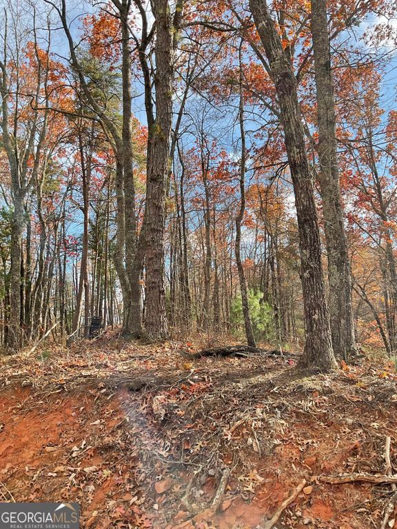 0 Lynn Drive, Clayton, GA 30525 — photo 5