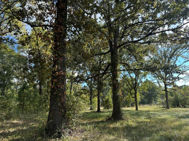 1065 Fm 2457, Livingston, TX 77351