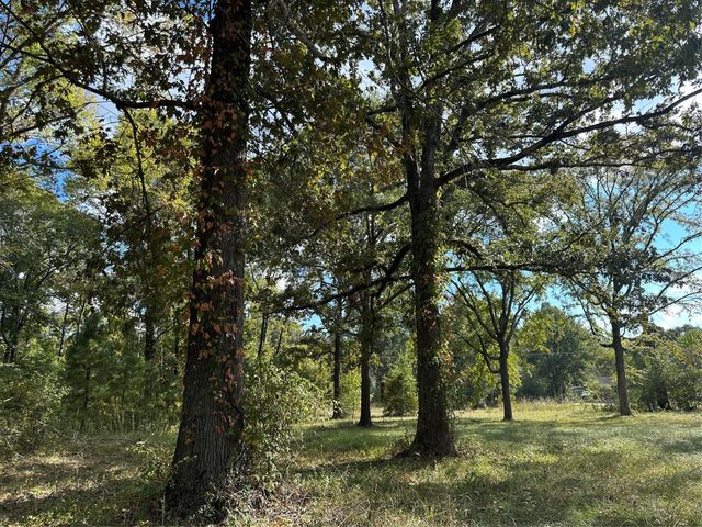 1065 Fm 2457, Livingston, TX 77351