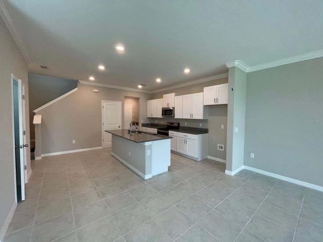 31993 BLUE PASSING, Wesley Chapel, FL 33545