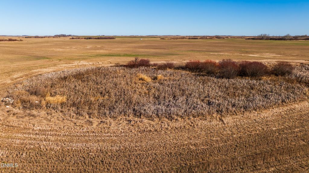 Tbd 95 St Ne Parcel 2, Rolla, ND 58367 photo 8