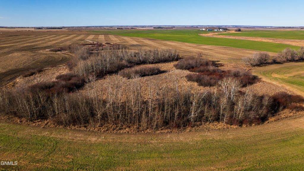 Tbd 95 St Ne Parcel 2, Rolla, ND 58367 photo 9