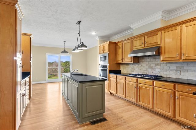 5096 Benevola Rd, Gordo, AL 35466